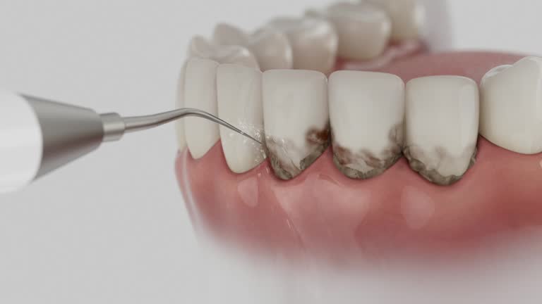 Reliable Dental contractor in Wrightsville Beach, NC by Dentist Open Now